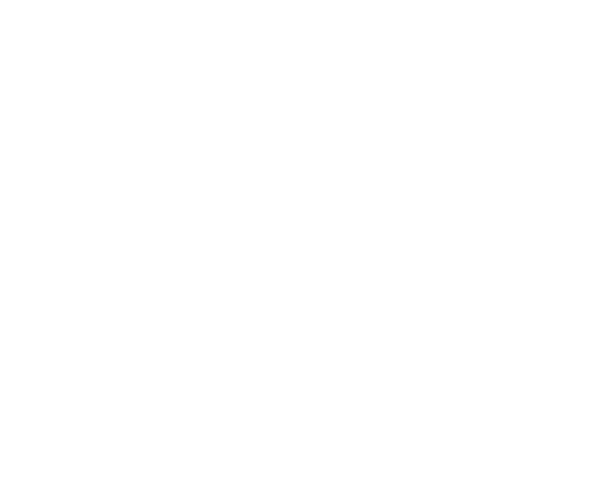 Damania Holding Company